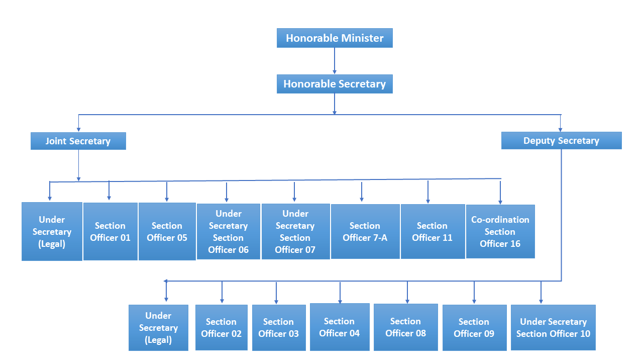 Organizational Structure