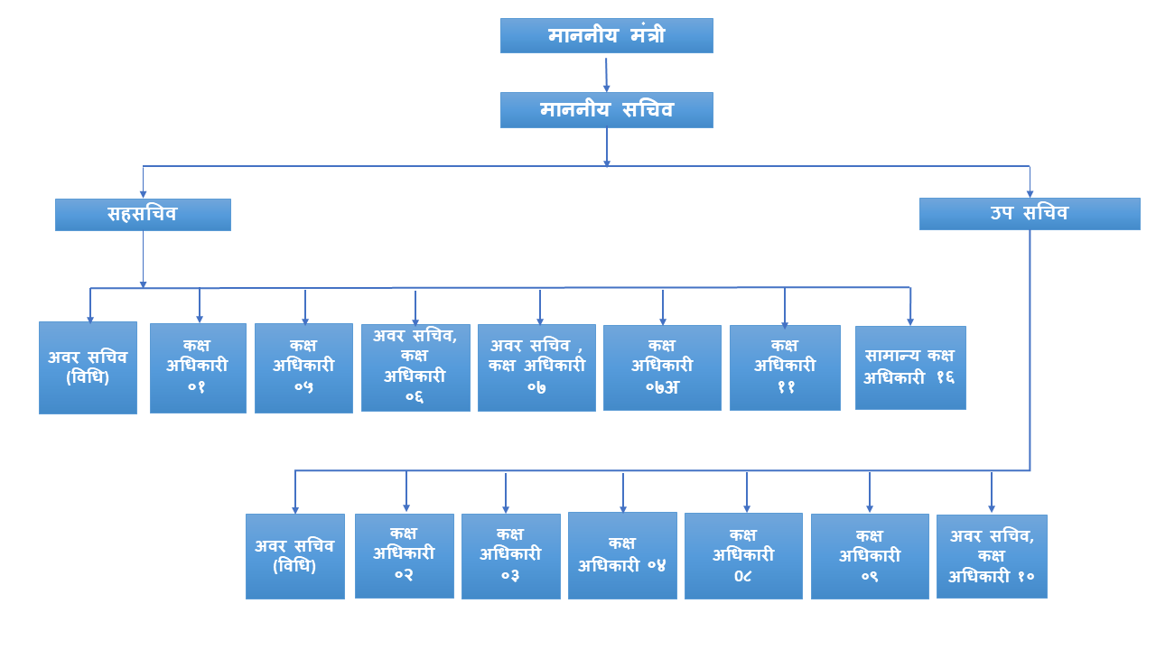 संघटनात्मक संरचना